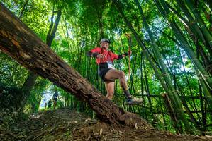 BIB: 
                            <button type="button" onclick="openModal(19061448)" class="btn btn-primary btn-sm float-right btn-popup" data-toggle="modal" data-target=".modal-high-quality">
                        <i class="fas fa-shopping-cart"></i> Add to Cart
                    </button>
                                            <button type="button" onclick="isThisMe(19061448, true)" class="btn btn-success btn-sm float-right btn-popup btn-isme hidden" data-toggle="tooltip" data-placement="bottom" title="นี่คือรูปของคุณใช่ไหม คลิกที่นี่เพื่อเอาเข้าอัลบั้ม">
                        <i class="fas fa-plus"></i> Add to album
                    </button>
                    <button type="button" onclick="isThisMe(19061448, false)" class="btn btn-warning btn-sm float-right btn-popup btn-isnotme hidden">
                        <i class="fas fa-ban"></i> Remove from album
                    </button>