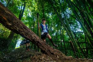 BIB: 
                            <button type="button" onclick="openModal(18997438)" class="btn btn-primary btn-sm float-right btn-popup" data-toggle="modal" data-target=".modal-high-quality">
                        <i class="fas fa-shopping-cart"></i> Add to Cart
                    </button>
                                            <button type="button" onclick="isThisMe(18997438, true)" class="btn btn-success btn-sm float-right btn-popup btn-isme hidden" data-toggle="tooltip" data-placement="bottom" title="นี่คือรูปของคุณใช่ไหม คลิกที่นี่เพื่อเอาเข้าอัลบั้ม">
                        <i class="fas fa-plus"></i> Add to album
                    </button>
                    <button type="button" onclick="isThisMe(18997438, false)" class="btn btn-warning btn-sm float-right btn-popup btn-isnotme hidden">
                        <i class="fas fa-ban"></i> Remove from album
                    </button>