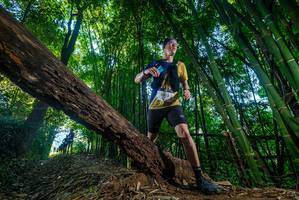 BIB: 
                            <button type="button" onclick="openModal(18990228)" class="btn btn-primary btn-sm float-right btn-popup" data-toggle="modal" data-target=".modal-high-quality">
                        <i class="fas fa-shopping-cart"></i> Add to Cart
                    </button>
                                            <button type="button" onclick="isThisMe(18990228, true)" class="btn btn-success btn-sm float-right btn-popup btn-isme hidden" data-toggle="tooltip" data-placement="bottom" title="นี่คือรูปของคุณใช่ไหม คลิกที่นี่เพื่อเอาเข้าอัลบั้ม">
                        <i class="fas fa-plus"></i> Add to album
                    </button>
                    <button type="button" onclick="isThisMe(18990228, false)" class="btn btn-warning btn-sm float-right btn-popup btn-isnotme hidden">
                        <i class="fas fa-ban"></i> Remove from album
                    </button>