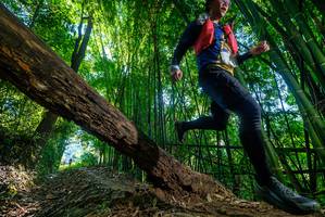 BIB: 
                            <button type="button" onclick="openModal(19001175)" class="btn btn-primary btn-sm float-right btn-popup" data-toggle="modal" data-target=".modal-high-quality">
                        <i class="fas fa-shopping-cart"></i> Add to Cart
                    </button>
                                            <button type="button" onclick="isThisMe(19001175, true)" class="btn btn-success btn-sm float-right btn-popup btn-isme hidden" data-toggle="tooltip" data-placement="bottom" title="นี่คือรูปของคุณใช่ไหม คลิกที่นี่เพื่อเอาเข้าอัลบั้ม">
                        <i class="fas fa-plus"></i> Add to album
                    </button>
                    <button type="button" onclick="isThisMe(19001175, false)" class="btn btn-warning btn-sm float-right btn-popup btn-isnotme hidden">
                        <i class="fas fa-ban"></i> Remove from album
                    </button>