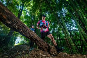 BIB: 
                            <button type="button" onclick="openModal(18997062)" class="btn btn-primary btn-sm float-right btn-popup" data-toggle="modal" data-target=".modal-high-quality">
                        <i class="fas fa-shopping-cart"></i> Add to Cart
                    </button>
                                            <button type="button" onclick="isThisMe(18997062, true)" class="btn btn-success btn-sm float-right btn-popup btn-isme hidden" data-toggle="tooltip" data-placement="bottom" title="นี่คือรูปของคุณใช่ไหม คลิกที่นี่เพื่อเอาเข้าอัลบั้ม">
                        <i class="fas fa-plus"></i> Add to album
                    </button>
                    <button type="button" onclick="isThisMe(18997062, false)" class="btn btn-warning btn-sm float-right btn-popup btn-isnotme hidden">
                        <i class="fas fa-ban"></i> Remove from album
                    </button>