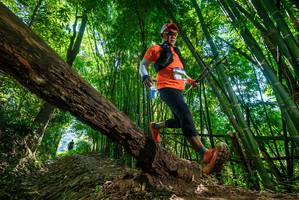 BIB: 
                            <button type="button" onclick="openModal(19068513)" class="btn btn-primary btn-sm float-right btn-popup" data-toggle="modal" data-target=".modal-high-quality">
                        <i class="fas fa-shopping-cart"></i> Add to Cart
                    </button>
                                            <button type="button" onclick="isThisMe(19068513, true)" class="btn btn-success btn-sm float-right btn-popup btn-isme hidden" data-toggle="tooltip" data-placement="bottom" title="นี่คือรูปของคุณใช่ไหม คลิกที่นี่เพื่อเอาเข้าอัลบั้ม">
                        <i class="fas fa-plus"></i> Add to album
                    </button>
                    <button type="button" onclick="isThisMe(19068513, false)" class="btn btn-warning btn-sm float-right btn-popup btn-isnotme hidden">
                        <i class="fas fa-ban"></i> Remove from album
                    </button>