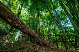 BIB: 
                            <button type="button" onclick="openModal(19066521)" class="btn btn-primary btn-sm float-right btn-popup" data-toggle="modal" data-target=".modal-high-quality">
                        <i class="fas fa-shopping-cart"></i> Add to Cart
                    </button>
                                            <button type="button" onclick="isThisMe(19066521, true)" class="btn btn-success btn-sm float-right btn-popup btn-isme hidden" data-toggle="tooltip" data-placement="bottom" title="นี่คือรูปของคุณใช่ไหม คลิกที่นี่เพื่อเอาเข้าอัลบั้ม">
                        <i class="fas fa-plus"></i> Add to album
                    </button>
                    <button type="button" onclick="isThisMe(19066521, false)" class="btn btn-warning btn-sm float-right btn-popup btn-isnotme hidden">
                        <i class="fas fa-ban"></i> Remove from album
                    </button>