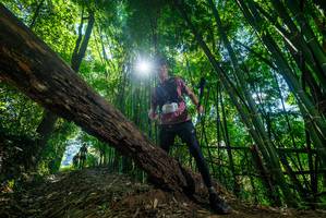 BIB: 
                            <button type="button" onclick="openModal(19064244)" class="btn btn-primary btn-sm float-right btn-popup" data-toggle="modal" data-target=".modal-high-quality">
                        <i class="fas fa-shopping-cart"></i> Add to Cart
                    </button>
                                            <button type="button" onclick="isThisMe(19064244, true)" class="btn btn-success btn-sm float-right btn-popup btn-isme hidden" data-toggle="tooltip" data-placement="bottom" title="นี่คือรูปของคุณใช่ไหม คลิกที่นี่เพื่อเอาเข้าอัลบั้ม">
                        <i class="fas fa-plus"></i> Add to album
                    </button>
                    <button type="button" onclick="isThisMe(19064244, false)" class="btn btn-warning btn-sm float-right btn-popup btn-isnotme hidden">
                        <i class="fas fa-ban"></i> Remove from album
                    </button>