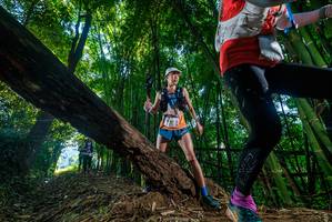 BIB: 
                            <button type="button" onclick="openModal(18996551)" class="btn btn-primary btn-sm float-right btn-popup" data-toggle="modal" data-target=".modal-high-quality">
                        <i class="fas fa-shopping-cart"></i> Add to Cart
                    </button>
                                            <button type="button" onclick="isThisMe(18996551, true)" class="btn btn-success btn-sm float-right btn-popup btn-isme hidden" data-toggle="tooltip" data-placement="bottom" title="นี่คือรูปของคุณใช่ไหม คลิกที่นี่เพื่อเอาเข้าอัลบั้ม">
                        <i class="fas fa-plus"></i> Add to album
                    </button>
                    <button type="button" onclick="isThisMe(18996551, false)" class="btn btn-warning btn-sm float-right btn-popup btn-isnotme hidden">
                        <i class="fas fa-ban"></i> Remove from album
                    </button>