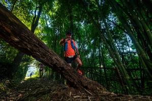 BIB: 
                            <button type="button" onclick="openModal(18988267)" class="btn btn-primary btn-sm float-right btn-popup" data-toggle="modal" data-target=".modal-high-quality">
                        <i class="fas fa-shopping-cart"></i> Add to Cart
                    </button>
                                            <button type="button" onclick="isThisMe(18988267, true)" class="btn btn-success btn-sm float-right btn-popup btn-isme hidden" data-toggle="tooltip" data-placement="bottom" title="นี่คือรูปของคุณใช่ไหม คลิกที่นี่เพื่อเอาเข้าอัลบั้ม">
                        <i class="fas fa-plus"></i> Add to album
                    </button>
                    <button type="button" onclick="isThisMe(18988267, false)" class="btn btn-warning btn-sm float-right btn-popup btn-isnotme hidden">
                        <i class="fas fa-ban"></i> Remove from album
                    </button>