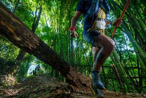 BIB: 2143
                            <button type="button" onclick="openModal(19002039)" class="btn btn-primary btn-sm float-right btn-popup" data-toggle="modal" data-target=".modal-high-quality">
                        <i class="fas fa-shopping-cart"></i> Add to Cart
                    </button>
                                            <button type="button" onclick="isThisMe(19002039, true)" class="btn btn-success btn-sm float-right btn-popup btn-isme hidden" data-toggle="tooltip" data-placement="bottom" title="นี่คือรูปของคุณใช่ไหม คลิกที่นี่เพื่อเอาเข้าอัลบั้ม">
                        <i class="fas fa-plus"></i> Add to album
                    </button>
                    <button type="button" onclick="isThisMe(19002039, false)" class="btn btn-warning btn-sm float-right btn-popup btn-isnotme hidden">
                        <i class="fas fa-ban"></i> Remove from album
                    </button>