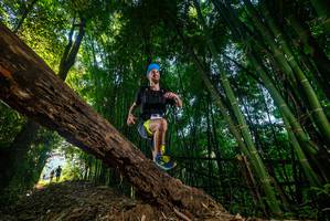 BIB: 
                            <button type="button" onclick="openModal(18987338)" class="btn btn-primary btn-sm float-right btn-popup" data-toggle="modal" data-target=".modal-high-quality">
                        <i class="fas fa-shopping-cart"></i> Add to Cart
                    </button>
                                            <button type="button" onclick="isThisMe(18987338, true)" class="btn btn-success btn-sm float-right btn-popup btn-isme hidden" data-toggle="tooltip" data-placement="bottom" title="นี่คือรูปของคุณใช่ไหม คลิกที่นี่เพื่อเอาเข้าอัลบั้ม">
                        <i class="fas fa-plus"></i> Add to album
                    </button>
                    <button type="button" onclick="isThisMe(18987338, false)" class="btn btn-warning btn-sm float-right btn-popup btn-isnotme hidden">
                        <i class="fas fa-ban"></i> Remove from album
                    </button>