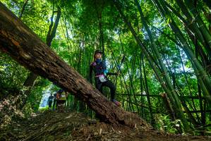 BIB: 
                            <button type="button" onclick="openModal(19065853)" class="btn btn-primary btn-sm float-right btn-popup" data-toggle="modal" data-target=".modal-high-quality">
                        <i class="fas fa-shopping-cart"></i> Add to Cart
                    </button>
                                            <button type="button" onclick="isThisMe(19065853, true)" class="btn btn-success btn-sm float-right btn-popup btn-isme hidden" data-toggle="tooltip" data-placement="bottom" title="นี่คือรูปของคุณใช่ไหม คลิกที่นี่เพื่อเอาเข้าอัลบั้ม">
                        <i class="fas fa-plus"></i> Add to album
                    </button>
                    <button type="button" onclick="isThisMe(19065853, false)" class="btn btn-warning btn-sm float-right btn-popup btn-isnotme hidden">
                        <i class="fas fa-ban"></i> Remove from album
                    </button>