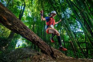 BIB: 
                            <button type="button" onclick="openModal(18994645)" class="btn btn-primary btn-sm float-right btn-popup" data-toggle="modal" data-target=".modal-high-quality">
                        <i class="fas fa-shopping-cart"></i> Add to Cart
                    </button>
                                            <button type="button" onclick="isThisMe(18994645, true)" class="btn btn-success btn-sm float-right btn-popup btn-isme hidden" data-toggle="tooltip" data-placement="bottom" title="นี่คือรูปของคุณใช่ไหม คลิกที่นี่เพื่อเอาเข้าอัลบั้ม">
                        <i class="fas fa-plus"></i> Add to album
                    </button>
                    <button type="button" onclick="isThisMe(18994645, false)" class="btn btn-warning btn-sm float-right btn-popup btn-isnotme hidden">
                        <i class="fas fa-ban"></i> Remove from album
                    </button>