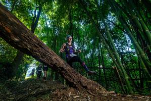 BIB: 
                            <button type="button" onclick="openModal(18994210)" class="btn btn-primary btn-sm float-right btn-popup" data-toggle="modal" data-target=".modal-high-quality">
                        <i class="fas fa-shopping-cart"></i> Add to Cart
                    </button>
                                            <button type="button" onclick="isThisMe(18994210, true)" class="btn btn-success btn-sm float-right btn-popup btn-isme hidden" data-toggle="tooltip" data-placement="bottom" title="นี่คือรูปของคุณใช่ไหม คลิกที่นี่เพื่อเอาเข้าอัลบั้ม">
                        <i class="fas fa-plus"></i> Add to album
                    </button>
                    <button type="button" onclick="isThisMe(18994210, false)" class="btn btn-warning btn-sm float-right btn-popup btn-isnotme hidden">
                        <i class="fas fa-ban"></i> Remove from album
                    </button>