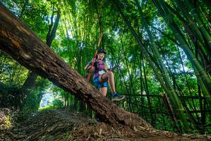 BIB: 
                            <button type="button" onclick="openModal(18998810)" class="btn btn-primary btn-sm float-right btn-popup" data-toggle="modal" data-target=".modal-high-quality">
                        <i class="fas fa-shopping-cart"></i> Add to Cart
                    </button>
                                            <button type="button" onclick="isThisMe(18998810, true)" class="btn btn-success btn-sm float-right btn-popup btn-isme hidden" data-toggle="tooltip" data-placement="bottom" title="นี่คือรูปของคุณใช่ไหม คลิกที่นี่เพื่อเอาเข้าอัลบั้ม">
                        <i class="fas fa-plus"></i> Add to album
                    </button>
                    <button type="button" onclick="isThisMe(18998810, false)" class="btn btn-warning btn-sm float-right btn-popup btn-isnotme hidden">
                        <i class="fas fa-ban"></i> Remove from album
                    </button>