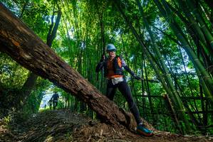 BIB: 
                            <button type="button" onclick="openModal(18997377)" class="btn btn-primary btn-sm float-right btn-popup" data-toggle="modal" data-target=".modal-high-quality">
                        <i class="fas fa-shopping-cart"></i> Add to Cart
                    </button>
                                            <button type="button" onclick="isThisMe(18997377, true)" class="btn btn-success btn-sm float-right btn-popup btn-isme hidden" data-toggle="tooltip" data-placement="bottom" title="นี่คือรูปของคุณใช่ไหม คลิกที่นี่เพื่อเอาเข้าอัลบั้ม">
                        <i class="fas fa-plus"></i> Add to album
                    </button>
                    <button type="button" onclick="isThisMe(18997377, false)" class="btn btn-warning btn-sm float-right btn-popup btn-isnotme hidden">
                        <i class="fas fa-ban"></i> Remove from album
                    </button>