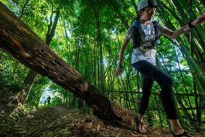 BIB: 3112
                            <button type="button" onclick="openModal(19068887)" class="btn btn-primary btn-sm float-right btn-popup" data-toggle="modal" data-target=".modal-high-quality">
                        <i class="fas fa-shopping-cart"></i> Add to Cart
                    </button>
                                            <button type="button" onclick="isThisMe(19068887, true)" class="btn btn-success btn-sm float-right btn-popup btn-isme hidden" data-toggle="tooltip" data-placement="bottom" title="นี่คือรูปของคุณใช่ไหม คลิกที่นี่เพื่อเอาเข้าอัลบั้ม">
                        <i class="fas fa-plus"></i> Add to album
                    </button>
                    <button type="button" onclick="isThisMe(19068887, false)" class="btn btn-warning btn-sm float-right btn-popup btn-isnotme hidden">
                        <i class="fas fa-ban"></i> Remove from album
                    </button>