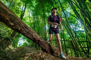 BIB: 
                            <button type="button" onclick="openModal(19070229)" class="btn btn-primary btn-sm float-right btn-popup" data-toggle="modal" data-target=".modal-high-quality">
                        <i class="fas fa-shopping-cart"></i> Add to Cart
                    </button>
                                            <button type="button" onclick="isThisMe(19070229, true)" class="btn btn-success btn-sm float-right btn-popup btn-isme hidden" data-toggle="tooltip" data-placement="bottom" title="นี่คือรูปของคุณใช่ไหม คลิกที่นี่เพื่อเอาเข้าอัลบั้ม">
                        <i class="fas fa-plus"></i> Add to album
                    </button>
                    <button type="button" onclick="isThisMe(19070229, false)" class="btn btn-warning btn-sm float-right btn-popup btn-isnotme hidden">
                        <i class="fas fa-ban"></i> Remove from album
                    </button>