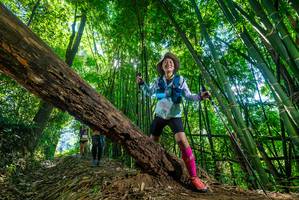 BIB: 
                            <button type="button" onclick="openModal(19062915)" class="btn btn-primary btn-sm float-right btn-popup" data-toggle="modal" data-target=".modal-high-quality">
                        <i class="fas fa-shopping-cart"></i> Add to Cart
                    </button>
                                            <button type="button" onclick="isThisMe(19062915, true)" class="btn btn-success btn-sm float-right btn-popup btn-isme hidden" data-toggle="tooltip" data-placement="bottom" title="นี่คือรูปของคุณใช่ไหม คลิกที่นี่เพื่อเอาเข้าอัลบั้ม">
                        <i class="fas fa-plus"></i> Add to album
                    </button>
                    <button type="button" onclick="isThisMe(19062915, false)" class="btn btn-warning btn-sm float-right btn-popup btn-isnotme hidden">
                        <i class="fas fa-ban"></i> Remove from album
                    </button>