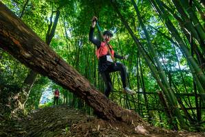 BIB: 
                            <button type="button" onclick="openModal(19067743)" class="btn btn-primary btn-sm float-right btn-popup" data-toggle="modal" data-target=".modal-high-quality">
                        <i class="fas fa-shopping-cart"></i> Add to Cart
                    </button>
                                            <button type="button" onclick="isThisMe(19067743, true)" class="btn btn-success btn-sm float-right btn-popup btn-isme hidden" data-toggle="tooltip" data-placement="bottom" title="นี่คือรูปของคุณใช่ไหม คลิกที่นี่เพื่อเอาเข้าอัลบั้ม">
                        <i class="fas fa-plus"></i> Add to album
                    </button>
                    <button type="button" onclick="isThisMe(19067743, false)" class="btn btn-warning btn-sm float-right btn-popup btn-isnotme hidden">
                        <i class="fas fa-ban"></i> Remove from album
                    </button>