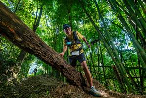 BIB: 
                            <button type="button" onclick="openModal(19067592)" class="btn btn-primary btn-sm float-right btn-popup" data-toggle="modal" data-target=".modal-high-quality">
                        <i class="fas fa-shopping-cart"></i> Add to Cart
                    </button>
                                            <button type="button" onclick="isThisMe(19067592, true)" class="btn btn-success btn-sm float-right btn-popup btn-isme hidden" data-toggle="tooltip" data-placement="bottom" title="นี่คือรูปของคุณใช่ไหม คลิกที่นี่เพื่อเอาเข้าอัลบั้ม">
                        <i class="fas fa-plus"></i> Add to album
                    </button>
                    <button type="button" onclick="isThisMe(19067592, false)" class="btn btn-warning btn-sm float-right btn-popup btn-isnotme hidden">
                        <i class="fas fa-ban"></i> Remove from album
                    </button>