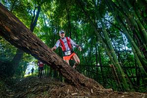 BIB: 
                            <button type="button" onclick="openModal(18995145)" class="btn btn-primary btn-sm float-right btn-popup" data-toggle="modal" data-target=".modal-high-quality">
                        <i class="fas fa-shopping-cart"></i> Add to Cart
                    </button>
                                            <button type="button" onclick="isThisMe(18995145, true)" class="btn btn-success btn-sm float-right btn-popup btn-isme hidden" data-toggle="tooltip" data-placement="bottom" title="นี่คือรูปของคุณใช่ไหม คลิกที่นี่เพื่อเอาเข้าอัลบั้ม">
                        <i class="fas fa-plus"></i> Add to album
                    </button>
                    <button type="button" onclick="isThisMe(18995145, false)" class="btn btn-warning btn-sm float-right btn-popup btn-isnotme hidden">
                        <i class="fas fa-ban"></i> Remove from album
                    </button>