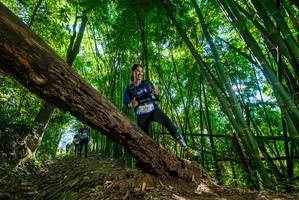 BIB: 221
                            <button type="button" onclick="openModal(19068139)" class="btn btn-primary btn-sm float-right btn-popup" data-toggle="modal" data-target=".modal-high-quality">
                        <i class="fas fa-shopping-cart"></i> Add to Cart
                    </button>
                                            <button type="button" onclick="isThisMe(19068139, true)" class="btn btn-success btn-sm float-right btn-popup btn-isme hidden" data-toggle="tooltip" data-placement="bottom" title="นี่คือรูปของคุณใช่ไหม คลิกที่นี่เพื่อเอาเข้าอัลบั้ม">
                        <i class="fas fa-plus"></i> Add to album
                    </button>
                    <button type="button" onclick="isThisMe(19068139, false)" class="btn btn-warning btn-sm float-right btn-popup btn-isnotme hidden">
                        <i class="fas fa-ban"></i> Remove from album
                    </button>