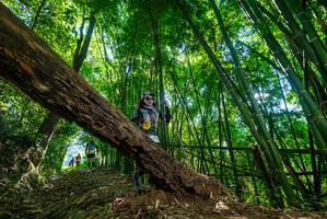 BIB: 
                            <button type="button" onclick="openModal(19068420)" class="btn btn-primary btn-sm float-right btn-popup" data-toggle="modal" data-target=".modal-high-quality">
                        <i class="fas fa-shopping-cart"></i> Add to Cart
                    </button>
                                            <button type="button" onclick="isThisMe(19068420, true)" class="btn btn-success btn-sm float-right btn-popup btn-isme hidden" data-toggle="tooltip" data-placement="bottom" title="นี่คือรูปของคุณใช่ไหม คลิกที่นี่เพื่อเอาเข้าอัลบั้ม">
                        <i class="fas fa-plus"></i> Add to album
                    </button>
                    <button type="button" onclick="isThisMe(19068420, false)" class="btn btn-warning btn-sm float-right btn-popup btn-isnotme hidden">
                        <i class="fas fa-ban"></i> Remove from album
                    </button>