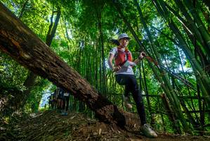 BIB: 
                            <button type="button" onclick="openModal(19064736)" class="btn btn-primary btn-sm float-right btn-popup" data-toggle="modal" data-target=".modal-high-quality">
                        <i class="fas fa-shopping-cart"></i> Add to Cart
                    </button>
                                            <button type="button" onclick="isThisMe(19064736, true)" class="btn btn-success btn-sm float-right btn-popup btn-isme hidden" data-toggle="tooltip" data-placement="bottom" title="นี่คือรูปของคุณใช่ไหม คลิกที่นี่เพื่อเอาเข้าอัลบั้ม">
                        <i class="fas fa-plus"></i> Add to album
                    </button>
                    <button type="button" onclick="isThisMe(19064736, false)" class="btn btn-warning btn-sm float-right btn-popup btn-isnotme hidden">
                        <i class="fas fa-ban"></i> Remove from album
                    </button>