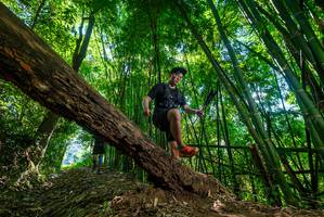 BIB: 
                            <button type="button" onclick="openModal(19068554)" class="btn btn-primary btn-sm float-right btn-popup" data-toggle="modal" data-target=".modal-high-quality">
                        <i class="fas fa-shopping-cart"></i> Add to Cart
                    </button>
                                            <button type="button" onclick="isThisMe(19068554, true)" class="btn btn-success btn-sm float-right btn-popup btn-isme hidden" data-toggle="tooltip" data-placement="bottom" title="นี่คือรูปของคุณใช่ไหม คลิกที่นี่เพื่อเอาเข้าอัลบั้ม">
                        <i class="fas fa-plus"></i> Add to album
                    </button>
                    <button type="button" onclick="isThisMe(19068554, false)" class="btn btn-warning btn-sm float-right btn-popup btn-isnotme hidden">
                        <i class="fas fa-ban"></i> Remove from album
                    </button>