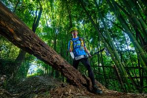 BIB: 
                            <button type="button" onclick="openModal(18995876)" class="btn btn-primary btn-sm float-right btn-popup" data-toggle="modal" data-target=".modal-high-quality">
                        <i class="fas fa-shopping-cart"></i> Add to Cart
                    </button>
                                            <button type="button" onclick="isThisMe(18995876, true)" class="btn btn-success btn-sm float-right btn-popup btn-isme hidden" data-toggle="tooltip" data-placement="bottom" title="นี่คือรูปของคุณใช่ไหม คลิกที่นี่เพื่อเอาเข้าอัลบั้ม">
                        <i class="fas fa-plus"></i> Add to album
                    </button>
                    <button type="button" onclick="isThisMe(18995876, false)" class="btn btn-warning btn-sm float-right btn-popup btn-isnotme hidden">
                        <i class="fas fa-ban"></i> Remove from album
                    </button>