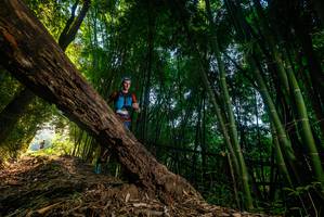 BIB: 
                            <button type="button" onclick="openModal(18986142)" class="btn btn-primary btn-sm float-right btn-popup" data-toggle="modal" data-target=".modal-high-quality">
                        <i class="fas fa-shopping-cart"></i> Add to Cart
                    </button>
                                            <button type="button" onclick="isThisMe(18986142, true)" class="btn btn-success btn-sm float-right btn-popup btn-isme hidden" data-toggle="tooltip" data-placement="bottom" title="นี่คือรูปของคุณใช่ไหม คลิกที่นี่เพื่อเอาเข้าอัลบั้ม">
                        <i class="fas fa-plus"></i> Add to album
                    </button>
                    <button type="button" onclick="isThisMe(18986142, false)" class="btn btn-warning btn-sm float-right btn-popup btn-isnotme hidden">
                        <i class="fas fa-ban"></i> Remove from album
                    </button>