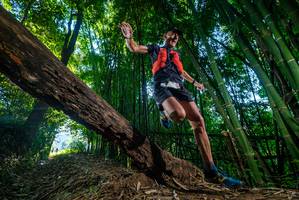 BIB: 
                            <button type="button" onclick="openModal(18992000)" class="btn btn-primary btn-sm float-right btn-popup" data-toggle="modal" data-target=".modal-high-quality">
                        <i class="fas fa-shopping-cart"></i> Add to Cart
                    </button>
                                            <button type="button" onclick="isThisMe(18992000, true)" class="btn btn-success btn-sm float-right btn-popup btn-isme hidden" data-toggle="tooltip" data-placement="bottom" title="นี่คือรูปของคุณใช่ไหม คลิกที่นี่เพื่อเอาเข้าอัลบั้ม">
                        <i class="fas fa-plus"></i> Add to album
                    </button>
                    <button type="button" onclick="isThisMe(18992000, false)" class="btn btn-warning btn-sm float-right btn-popup btn-isnotme hidden">
                        <i class="fas fa-ban"></i> Remove from album
                    </button>