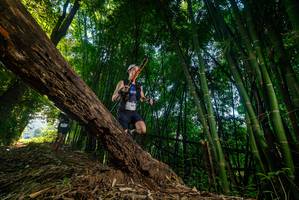 BIB: 
                            <button type="button" onclick="openModal(18986968)" class="btn btn-primary btn-sm float-right btn-popup" data-toggle="modal" data-target=".modal-high-quality">
                        <i class="fas fa-shopping-cart"></i> Add to Cart
                    </button>
                                            <button type="button" onclick="isThisMe(18986968, true)" class="btn btn-success btn-sm float-right btn-popup btn-isme hidden" data-toggle="tooltip" data-placement="bottom" title="นี่คือรูปของคุณใช่ไหม คลิกที่นี่เพื่อเอาเข้าอัลบั้ม">
                        <i class="fas fa-plus"></i> Add to album
                    </button>
                    <button type="button" onclick="isThisMe(18986968, false)" class="btn btn-warning btn-sm float-right btn-popup btn-isnotme hidden">
                        <i class="fas fa-ban"></i> Remove from album
                    </button>