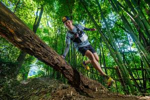 BIB: 
                            <button type="button" onclick="openModal(19062272)" class="btn btn-primary btn-sm float-right btn-popup" data-toggle="modal" data-target=".modal-high-quality">
                        <i class="fas fa-shopping-cart"></i> Add to Cart
                    </button>
                                            <button type="button" onclick="isThisMe(19062272, true)" class="btn btn-success btn-sm float-right btn-popup btn-isme hidden" data-toggle="tooltip" data-placement="bottom" title="นี่คือรูปของคุณใช่ไหม คลิกที่นี่เพื่อเอาเข้าอัลบั้ม">
                        <i class="fas fa-plus"></i> Add to album
                    </button>
                    <button type="button" onclick="isThisMe(19062272, false)" class="btn btn-warning btn-sm float-right btn-popup btn-isnotme hidden">
                        <i class="fas fa-ban"></i> Remove from album
                    </button>