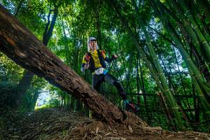 BIB: 
                            <button type="button" onclick="openModal(18990030)" class="btn btn-primary btn-sm float-right btn-popup" data-toggle="modal" data-target=".modal-high-quality">
                        <i class="fas fa-shopping-cart"></i> Add to Cart
                    </button>
                                            <button type="button" onclick="isThisMe(18990030, true)" class="btn btn-success btn-sm float-right btn-popup btn-isme hidden" data-toggle="tooltip" data-placement="bottom" title="นี่คือรูปของคุณใช่ไหม คลิกที่นี่เพื่อเอาเข้าอัลบั้ม">
                        <i class="fas fa-plus"></i> Add to album
                    </button>
                    <button type="button" onclick="isThisMe(18990030, false)" class="btn btn-warning btn-sm float-right btn-popup btn-isnotme hidden">
                        <i class="fas fa-ban"></i> Remove from album
                    </button>