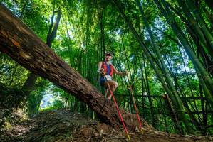 BIB: 
                            <button type="button" onclick="openModal(19047763)" class="btn btn-primary btn-sm float-right btn-popup" data-toggle="modal" data-target=".modal-high-quality">
                        <i class="fas fa-shopping-cart"></i> Add to Cart
                    </button>
                                            <button type="button" onclick="isThisMe(19047763, true)" class="btn btn-success btn-sm float-right btn-popup btn-isme hidden" data-toggle="tooltip" data-placement="bottom" title="นี่คือรูปของคุณใช่ไหม คลิกที่นี่เพื่อเอาเข้าอัลบั้ม">
                        <i class="fas fa-plus"></i> Add to album
                    </button>
                    <button type="button" onclick="isThisMe(19047763, false)" class="btn btn-warning btn-sm float-right btn-popup btn-isnotme hidden">
                        <i class="fas fa-ban"></i> Remove from album
                    </button>