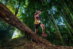 BIB: 
                            <button type="button" onclick="openModal(18987787)" class="btn btn-primary btn-sm float-right btn-popup" data-toggle="modal" data-target=".modal-high-quality">
                        <i class="fas fa-shopping-cart"></i> Add to Cart
                    </button>
                                            <button type="button" onclick="isThisMe(18987787, true)" class="btn btn-success btn-sm float-right btn-popup btn-isme hidden" data-toggle="tooltip" data-placement="bottom" title="นี่คือรูปของคุณใช่ไหม คลิกที่นี่เพื่อเอาเข้าอัลบั้ม">
                        <i class="fas fa-plus"></i> Add to album
                    </button>
                    <button type="button" onclick="isThisMe(18987787, false)" class="btn btn-warning btn-sm float-right btn-popup btn-isnotme hidden">
                        <i class="fas fa-ban"></i> Remove from album
                    </button>