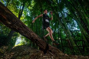 BIB: 
                            <button type="button" onclick="openModal(18988664)" class="btn btn-primary btn-sm float-right btn-popup" data-toggle="modal" data-target=".modal-high-quality">
                        <i class="fas fa-shopping-cart"></i> Add to Cart
                    </button>
                                            <button type="button" onclick="isThisMe(18988664, true)" class="btn btn-success btn-sm float-right btn-popup btn-isme hidden" data-toggle="tooltip" data-placement="bottom" title="นี่คือรูปของคุณใช่ไหม คลิกที่นี่เพื่อเอาเข้าอัลบั้ม">
                        <i class="fas fa-plus"></i> Add to album
                    </button>
                    <button type="button" onclick="isThisMe(18988664, false)" class="btn btn-warning btn-sm float-right btn-popup btn-isnotme hidden">
                        <i class="fas fa-ban"></i> Remove from album
                    </button>