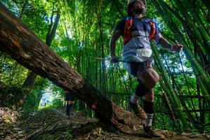 BIB: 320
                            <button type="button" onclick="openModal(19000179)" class="btn btn-primary btn-sm float-right btn-popup" data-toggle="modal" data-target=".modal-high-quality">
                        <i class="fas fa-shopping-cart"></i> Add to Cart
                    </button>
                                            <button type="button" onclick="isThisMe(19000179, true)" class="btn btn-success btn-sm float-right btn-popup btn-isme hidden" data-toggle="tooltip" data-placement="bottom" title="นี่คือรูปของคุณใช่ไหม คลิกที่นี่เพื่อเอาเข้าอัลบั้ม">
                        <i class="fas fa-plus"></i> Add to album
                    </button>
                    <button type="button" onclick="isThisMe(19000179, false)" class="btn btn-warning btn-sm float-right btn-popup btn-isnotme hidden">
                        <i class="fas fa-ban"></i> Remove from album
                    </button>