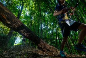 BIB: 
                            <button type="button" onclick="openModal(18996600)" class="btn btn-primary btn-sm float-right btn-popup" data-toggle="modal" data-target=".modal-high-quality">
                        <i class="fas fa-shopping-cart"></i> Add to Cart
                    </button>
                                            <button type="button" onclick="isThisMe(18996600, true)" class="btn btn-success btn-sm float-right btn-popup btn-isme hidden" data-toggle="tooltip" data-placement="bottom" title="นี่คือรูปของคุณใช่ไหม คลิกที่นี่เพื่อเอาเข้าอัลบั้ม">
                        <i class="fas fa-plus"></i> Add to album
                    </button>
                    <button type="button" onclick="isThisMe(18996600, false)" class="btn btn-warning btn-sm float-right btn-popup btn-isnotme hidden">
                        <i class="fas fa-ban"></i> Remove from album
                    </button>