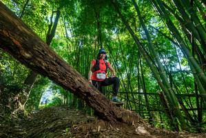 BIB: 2304
                            <button type="button" onclick="openModal(19067774)" class="btn btn-primary btn-sm float-right btn-popup" data-toggle="modal" data-target=".modal-high-quality">
                        <i class="fas fa-shopping-cart"></i> Add to Cart
                    </button>
                                            <button type="button" onclick="isThisMe(19067774, true)" class="btn btn-success btn-sm float-right btn-popup btn-isme hidden" data-toggle="tooltip" data-placement="bottom" title="นี่คือรูปของคุณใช่ไหม คลิกที่นี่เพื่อเอาเข้าอัลบั้ม">
                        <i class="fas fa-plus"></i> Add to album
                    </button>
                    <button type="button" onclick="isThisMe(19067774, false)" class="btn btn-warning btn-sm float-right btn-popup btn-isnotme hidden">
                        <i class="fas fa-ban"></i> Remove from album
                    </button>