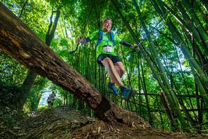 BIB: 
                            <button type="button" onclick="openModal(19059011)" class="btn btn-primary btn-sm float-right btn-popup" data-toggle="modal" data-target=".modal-high-quality">
                        <i class="fas fa-shopping-cart"></i> Add to Cart
                    </button>
                                            <button type="button" onclick="isThisMe(19059011, true)" class="btn btn-success btn-sm float-right btn-popup btn-isme hidden" data-toggle="tooltip" data-placement="bottom" title="นี่คือรูปของคุณใช่ไหม คลิกที่นี่เพื่อเอาเข้าอัลบั้ม">
                        <i class="fas fa-plus"></i> Add to album
                    </button>
                    <button type="button" onclick="isThisMe(19059011, false)" class="btn btn-warning btn-sm float-right btn-popup btn-isnotme hidden">
                        <i class="fas fa-ban"></i> Remove from album
                    </button>