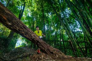 BIB: 
                            <button type="button" onclick="openModal(18998747)" class="btn btn-primary btn-sm float-right btn-popup" data-toggle="modal" data-target=".modal-high-quality">
                        <i class="fas fa-shopping-cart"></i> Add to Cart
                    </button>
                                            <button type="button" onclick="isThisMe(18998747, true)" class="btn btn-success btn-sm float-right btn-popup btn-isme hidden" data-toggle="tooltip" data-placement="bottom" title="นี่คือรูปของคุณใช่ไหม คลิกที่นี่เพื่อเอาเข้าอัลบั้ม">
                        <i class="fas fa-plus"></i> Add to album
                    </button>
                    <button type="button" onclick="isThisMe(18998747, false)" class="btn btn-warning btn-sm float-right btn-popup btn-isnotme hidden">
                        <i class="fas fa-ban"></i> Remove from album
                    </button>