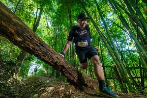 BIB: 
                            <button type="button" onclick="openModal(19069770)" class="btn btn-primary btn-sm float-right btn-popup" data-toggle="modal" data-target=".modal-high-quality">
                        <i class="fas fa-shopping-cart"></i> Add to Cart
                    </button>
                                            <button type="button" onclick="isThisMe(19069770, true)" class="btn btn-success btn-sm float-right btn-popup btn-isme hidden" data-toggle="tooltip" data-placement="bottom" title="นี่คือรูปของคุณใช่ไหม คลิกที่นี่เพื่อเอาเข้าอัลบั้ม">
                        <i class="fas fa-plus"></i> Add to album
                    </button>
                    <button type="button" onclick="isThisMe(19069770, false)" class="btn btn-warning btn-sm float-right btn-popup btn-isnotme hidden">
                        <i class="fas fa-ban"></i> Remove from album
                    </button>