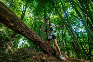 BIB: 
                            <button type="button" onclick="openModal(19067926)" class="btn btn-primary btn-sm float-right btn-popup" data-toggle="modal" data-target=".modal-high-quality">
                        <i class="fas fa-shopping-cart"></i> Add to Cart
                    </button>
                                            <button type="button" onclick="isThisMe(19067926, true)" class="btn btn-success btn-sm float-right btn-popup btn-isme hidden" data-toggle="tooltip" data-placement="bottom" title="นี่คือรูปของคุณใช่ไหม คลิกที่นี่เพื่อเอาเข้าอัลบั้ม">
                        <i class="fas fa-plus"></i> Add to album
                    </button>
                    <button type="button" onclick="isThisMe(19067926, false)" class="btn btn-warning btn-sm float-right btn-popup btn-isnotme hidden">
                        <i class="fas fa-ban"></i> Remove from album
                    </button>