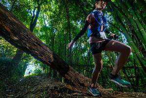 BIB: 
                            <button type="button" onclick="openModal(18992013)" class="btn btn-primary btn-sm float-right btn-popup" data-toggle="modal" data-target=".modal-high-quality">
                        <i class="fas fa-shopping-cart"></i> Add to Cart
                    </button>
                                            <button type="button" onclick="isThisMe(18992013, true)" class="btn btn-success btn-sm float-right btn-popup btn-isme hidden" data-toggle="tooltip" data-placement="bottom" title="นี่คือรูปของคุณใช่ไหม คลิกที่นี่เพื่อเอาเข้าอัลบั้ม">
                        <i class="fas fa-plus"></i> Add to album
                    </button>
                    <button type="button" onclick="isThisMe(18992013, false)" class="btn btn-warning btn-sm float-right btn-popup btn-isnotme hidden">
                        <i class="fas fa-ban"></i> Remove from album
                    </button>