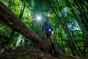 BIB: 
                            <button type="button" onclick="openModal(19064018)" class="btn btn-primary btn-sm float-right btn-popup" data-toggle="modal" data-target=".modal-high-quality">
                        <i class="fas fa-shopping-cart"></i> Add to Cart
                    </button>
                                            <button type="button" onclick="isThisMe(19064018, true)" class="btn btn-success btn-sm float-right btn-popup btn-isme hidden" data-toggle="tooltip" data-placement="bottom" title="นี่คือรูปของคุณใช่ไหม คลิกที่นี่เพื่อเอาเข้าอัลบั้ม">
                        <i class="fas fa-plus"></i> Add to album
                    </button>
                    <button type="button" onclick="isThisMe(19064018, false)" class="btn btn-warning btn-sm float-right btn-popup btn-isnotme hidden">
                        <i class="fas fa-ban"></i> Remove from album
                    </button>