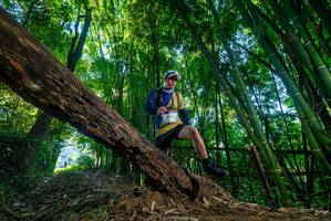 BIB: 2913
                            <button type="button" onclick="openModal(19000629)" class="btn btn-primary btn-sm float-right btn-popup" data-toggle="modal" data-target=".modal-high-quality">
                        <i class="fas fa-shopping-cart"></i> Add to Cart
                    </button>
                                            <button type="button" onclick="isThisMe(19000629, true)" class="btn btn-success btn-sm float-right btn-popup btn-isme hidden" data-toggle="tooltip" data-placement="bottom" title="นี่คือรูปของคุณใช่ไหม คลิกที่นี่เพื่อเอาเข้าอัลบั้ม">
                        <i class="fas fa-plus"></i> Add to album
                    </button>
                    <button type="button" onclick="isThisMe(19000629, false)" class="btn btn-warning btn-sm float-right btn-popup btn-isnotme hidden">
                        <i class="fas fa-ban"></i> Remove from album
                    </button>