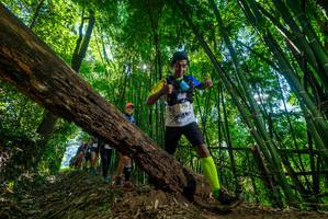 BIB: 2728, 
                            <button type="button" onclick="openModal(19064474)" class="btn btn-primary btn-sm float-right btn-popup" data-toggle="modal" data-target=".modal-high-quality">
                        <i class="fas fa-shopping-cart"></i> Add to Cart
                    </button>
                                            <button type="button" onclick="isThisMe(19064474, true)" class="btn btn-success btn-sm float-right btn-popup btn-isme hidden" data-toggle="tooltip" data-placement="bottom" title="นี่คือรูปของคุณใช่ไหม คลิกที่นี่เพื่อเอาเข้าอัลบั้ม">
                        <i class="fas fa-plus"></i> Add to album
                    </button>
                    <button type="button" onclick="isThisMe(19064474, false)" class="btn btn-warning btn-sm float-right btn-popup btn-isnotme hidden">
                        <i class="fas fa-ban"></i> Remove from album
                    </button>