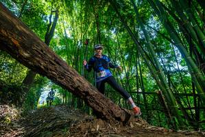 BIB: 
                            <button type="button" onclick="openModal(19000986)" class="btn btn-primary btn-sm float-right btn-popup" data-toggle="modal" data-target=".modal-high-quality">
                        <i class="fas fa-shopping-cart"></i> Add to Cart
                    </button>
                                            <button type="button" onclick="isThisMe(19000986, true)" class="btn btn-success btn-sm float-right btn-popup btn-isme hidden" data-toggle="tooltip" data-placement="bottom" title="นี่คือรูปของคุณใช่ไหม คลิกที่นี่เพื่อเอาเข้าอัลบั้ม">
                        <i class="fas fa-plus"></i> Add to album
                    </button>
                    <button type="button" onclick="isThisMe(19000986, false)" class="btn btn-warning btn-sm float-right btn-popup btn-isnotme hidden">
                        <i class="fas fa-ban"></i> Remove from album
                    </button>