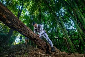 BIB: 
                            <button type="button" onclick="openModal(18996349)" class="btn btn-primary btn-sm float-right btn-popup" data-toggle="modal" data-target=".modal-high-quality">
                        <i class="fas fa-shopping-cart"></i> Add to Cart
                    </button>
                                            <button type="button" onclick="isThisMe(18996349, true)" class="btn btn-success btn-sm float-right btn-popup btn-isme hidden" data-toggle="tooltip" data-placement="bottom" title="นี่คือรูปของคุณใช่ไหม คลิกที่นี่เพื่อเอาเข้าอัลบั้ม">
                        <i class="fas fa-plus"></i> Add to album
                    </button>
                    <button type="button" onclick="isThisMe(18996349, false)" class="btn btn-warning btn-sm float-right btn-popup btn-isnotme hidden">
                        <i class="fas fa-ban"></i> Remove from album
                    </button>