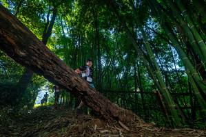 BIB: 
                            <button type="button" onclick="openModal(18991271)" class="btn btn-primary btn-sm float-right btn-popup" data-toggle="modal" data-target=".modal-high-quality">
                        <i class="fas fa-shopping-cart"></i> Add to Cart
                    </button>
                                            <button type="button" onclick="isThisMe(18991271, true)" class="btn btn-success btn-sm float-right btn-popup btn-isme hidden" data-toggle="tooltip" data-placement="bottom" title="นี่คือรูปของคุณใช่ไหม คลิกที่นี่เพื่อเอาเข้าอัลบั้ม">
                        <i class="fas fa-plus"></i> Add to album
                    </button>
                    <button type="button" onclick="isThisMe(18991271, false)" class="btn btn-warning btn-sm float-right btn-popup btn-isnotme hidden">
                        <i class="fas fa-ban"></i> Remove from album
                    </button>